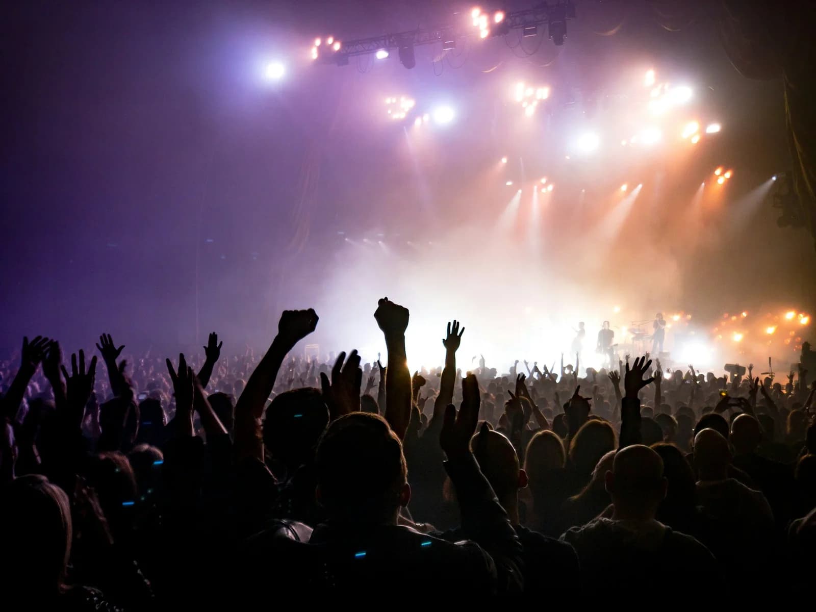 Concerts Stade de France